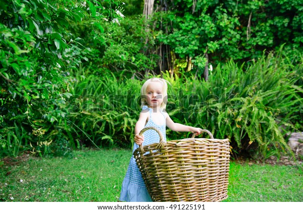 baby dress carrying basket