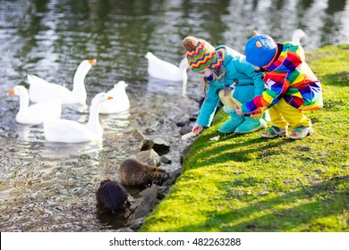 Little Girl And Boy Feeding Otter, Ducks And Geese In Park River On Cold Autumn Day. Kids Taking Care Of Animals. Outdoor Fun For Children In Fall Or Winter. Family Day Trip To The Zoo.