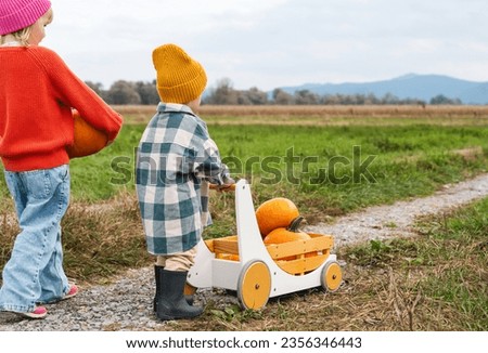 Little girl and boy picking pumpkins and playing with wooden wagon in pumpkin patch. Photo of kids with pumpkins against of corn field in autumn. Family fun Thanksgiving traditions and Halloween.