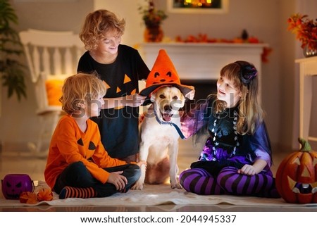 Little girl and boy in witch costume on Halloween trick or treat. Kids play with dog. Candy in pumpkin lantern bucket. Children celebrate Halloween at decorated fireplace. Family trick or treating.