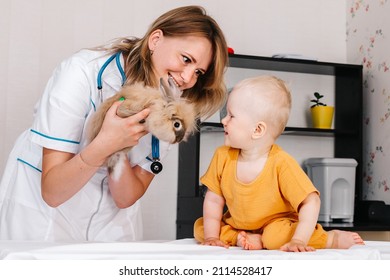 A Little Girl Brought Her Pet To The Vet For Examination. The Child Is At The Doctor Who Offers To Take Home A Rabbit For Therapy. Animal Treatment. Little Peach Rabbit