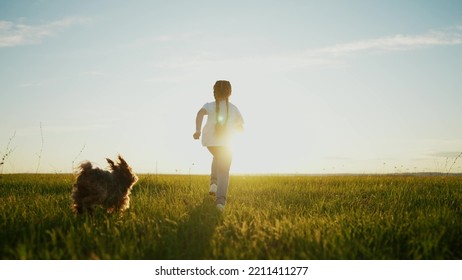 little girl child and dog a run in the park. happy family kid dream holiday concept. girl child silhouette view from the back runs with a pet dog on the grass in the summer in sunset the park at - Powered by Shutterstock