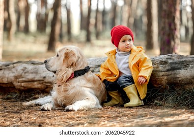 1,620 Dog Sitting On Log Images, Stock Photos & Vectors | Shutterstock