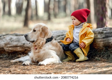 1,620 Dog Sitting On Log Images, Stock Photos & Vectors | Shutterstock