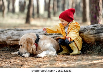 Little Girl Child With Golden Retriever Dog Sitting On The Ground Close To Log And Going To Hug Doggie In Autumn Forest. Female Kid And Pet Portrait At Nature