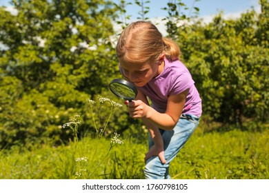 Little Girl Child Looking Through A Magnifying Glass. Closeup Portrait On Nature. 