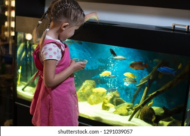 Little Girl Child Looks At The Fish In The Aquarium