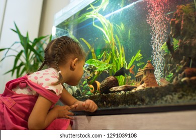 Little Girl Child Looks At The Fish In The Aquarium