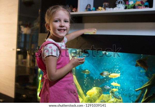 Little Girl Child Looks Fish Aquarium Stock Photo 1291039141 | Shutterstock