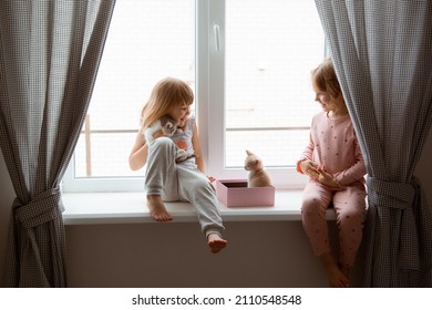 little girl children play on the window with kittens at home