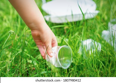 Little Girl Cleans Plastic Utensils On The Green Grass In The Park