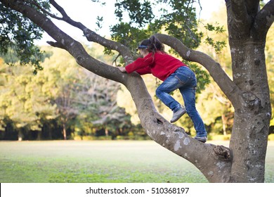 Little Girl To Climb A Tree