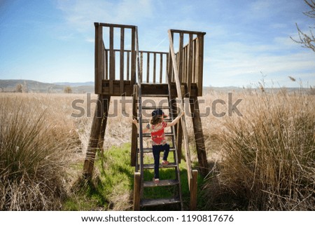 Similar – Image, Stock Photo Little girl climbing to a wooden observation tower in a wetland