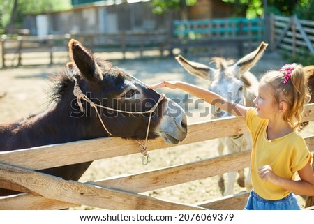 Little girl in contact farm zoo with donkeys in the countryside, a farm, Friendly Donkey in the paddock being social.