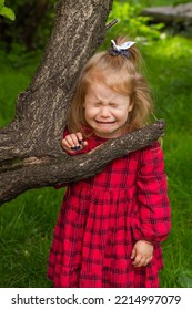 A Little Girl Is Crying In A Red Checkered Dress Near A Tree On A Green Lawn