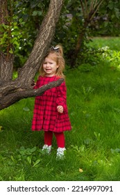 A Little Girl Is Crying In A Red Checkered Dress Near A Tree On A Green Lawn