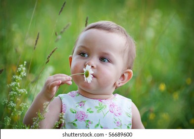 Little Girl Daisy Stock Photo 56689600 | Shutterstock