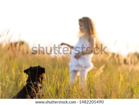 Similar – Image, Stock Photo Blond woman walking her dogs at sunset