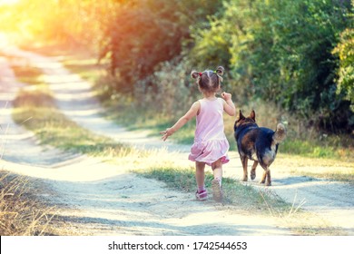 Little Girl With Dog Running On The Road In Forest In Summer On A Sunny Day. Back To Camera.