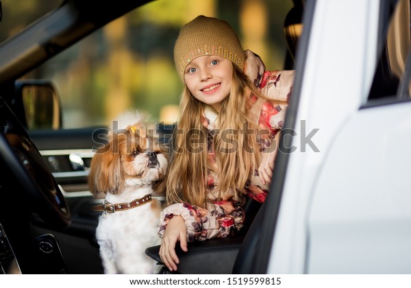 Little girl with a dog\
travels by car