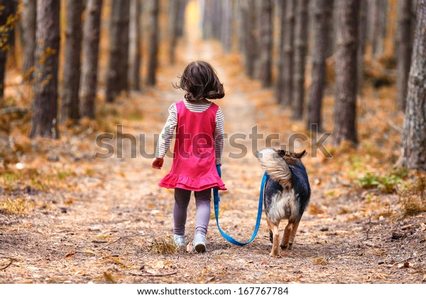 森の中の道を歩く犬と少女 カメラに戻る の写真素材 今すぐ編集