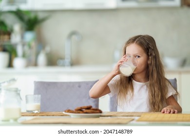 Little Girl Drinks Whole Cow's Milk With Cookies In The Morning Sitting At The Table. The Child Enjoys A Healthy Natural Drink While Having Breakfast In Kitchen At Home. Proper Nutrition For Children.