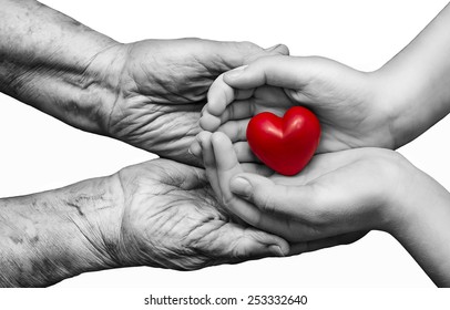 little girl and elderly woman keeping red heart in their palms together, isolated on white background, symbol of care and love