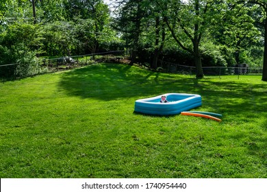 A Little Girl Enjoys Sunny Summer Fun, Swimming In A Backyard Kiddie Pool.