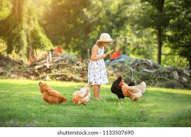 Little Girl Feeding Chickens Stock Photo 1133507690 | Shutterstock
