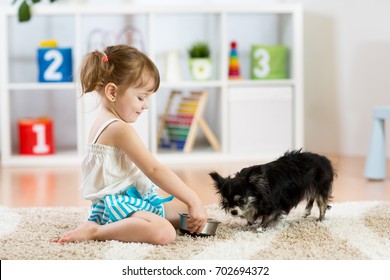 Little Girl Feeding Chihuahua Dog In Children Room. Kids And Pets Friendship