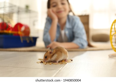 17,415 Kid feed pet Images, Stock Photos & Vectors | Shutterstock