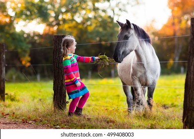 Little Girl Feeding A Horse. Kid Playing With Pet Horses. Child Feeding Animal On A Ranch On Cold Fall Day. Family On A Farm In Autumn. Outdoor Fun For Children. 