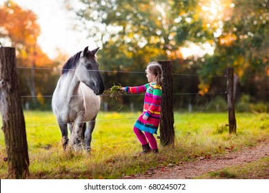 Little girl feeding a horse. Kid playing with pet horses. Child feeding animal on a ranch on cold fall day. Family on a farm in autumn. Outdoor fun for children. 