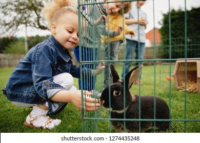 Little Girl Feeding A Pet Rabbit Through The Gap In The Cage. She Is Smilig With Happiness Letting The Rabbit Smell Her Hand.