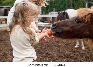 Little Girl Feeding Pony Horse With Apple In Equestrian Club