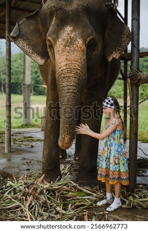 Similar – Image, Stock Photo be small Baby elefant