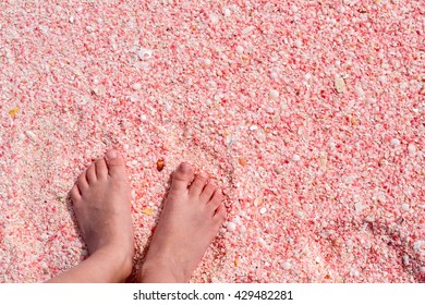 Little Girl Feet On Pink Sand Beach At Barbuda Island In Caribbean Made Of Tiny Pink Shells, Close Up Photo