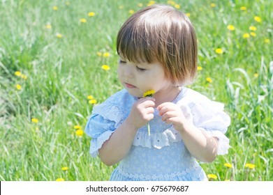 Little girl with flower enjoying nature in summer.  Cute child with dandelion flower, adorable and beautiful