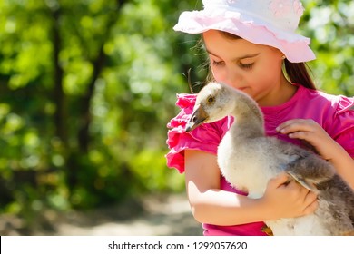 3,080 Goose girl Images, Stock Photos & Vectors | Shutterstock