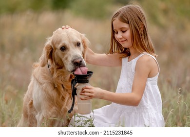 Little Girl Gives Water To Golden Retriever Dog In The Field From Bottle. Cute Child Cares About Doggy Pet At Nature