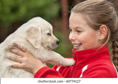 Little Girl With A Golden Retriever Puppy