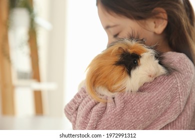 Little Girl With Guinea Pig At Home, Space For Text. Childhood Pet