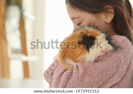 Little girl with guinea pig at home, space for text. Childhood pet