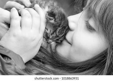 Little Girl Hands Child Kitten Baby Stock Photo 1018863931 | Shutterstock