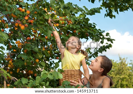 Similar – Senior woman and little girl picking apples from tree