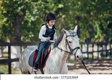 Little Girl In Helmet Learning Horseback Riding. Instructor Teaches Kid Equestrian.