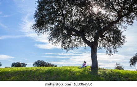 Little Girl And Her Doll Sitting  Under Acorn Tree. Maternal Instinct For Children Concept