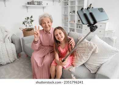 Little girl with her grandmother taking selfie at home