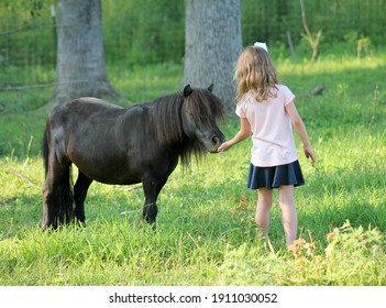 Little girl with her miniature horse