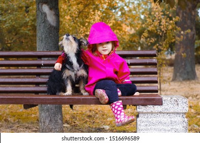little girl and her mongrel puppy sit on a park bench in the autumn rain. little girl in a pink coat playing with her outbred puppy in the park in the rain